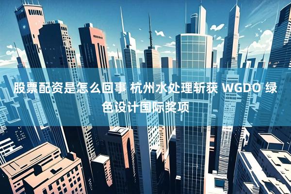 股票配资是怎么回事 杭州水处理斩获 WGDO 绿色设计国际奖项