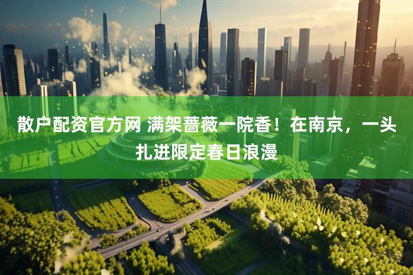 散户配资官方网 满架蔷薇一院香！在南京，一头扎进限定春日浪漫